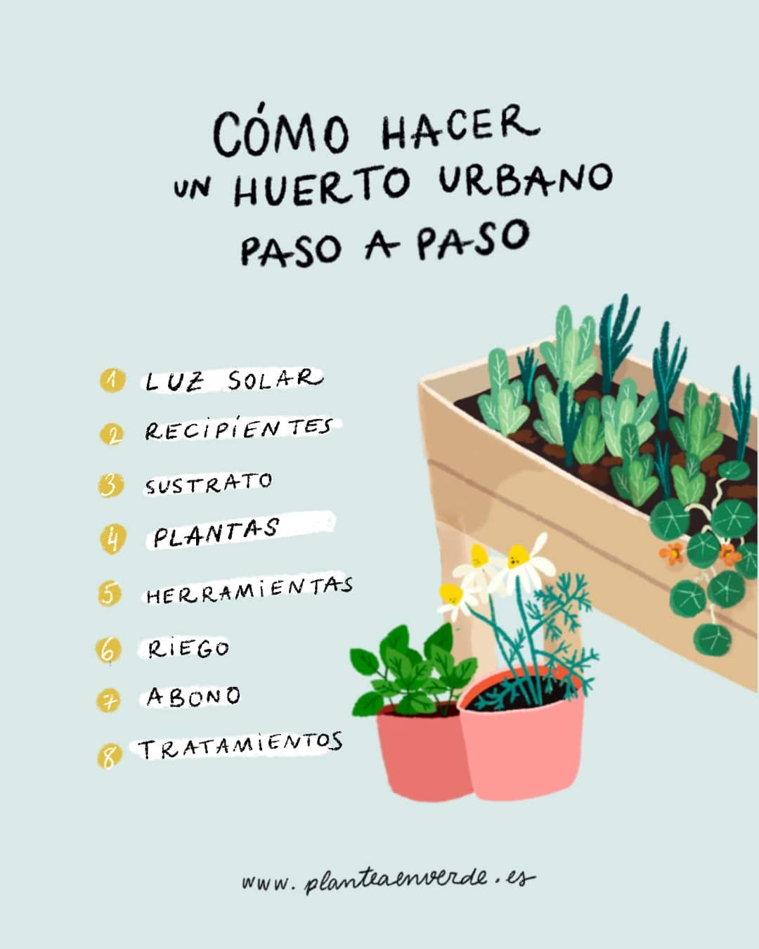 10 pasos fáciles para aprender cómo sembrar y cultivar tus propias plantas