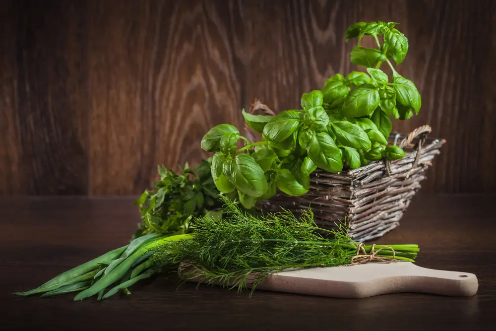 como hacer abono para cilantro