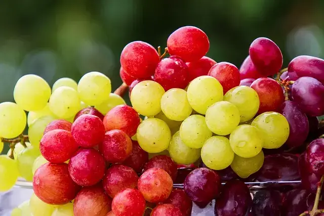 hacer abono casero para uvas