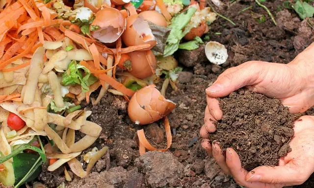 hacer compost para huerto urbano