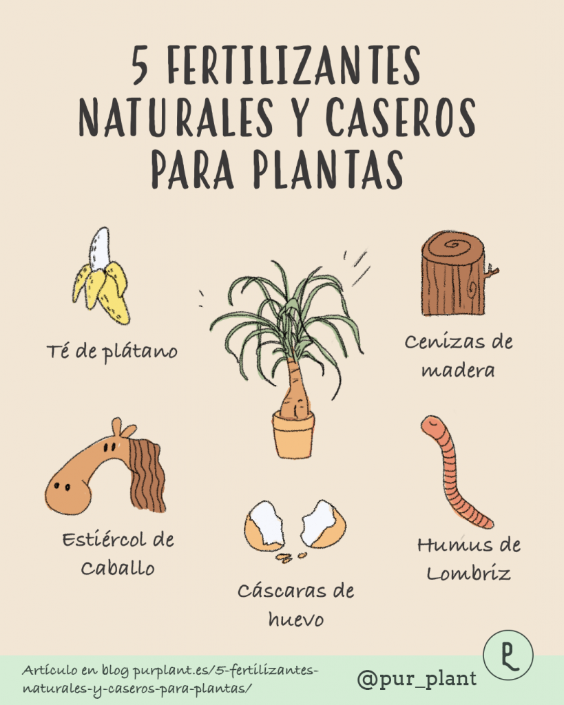 5 métodos orgánicos para hacer abono casero y fertilizar tus plantas