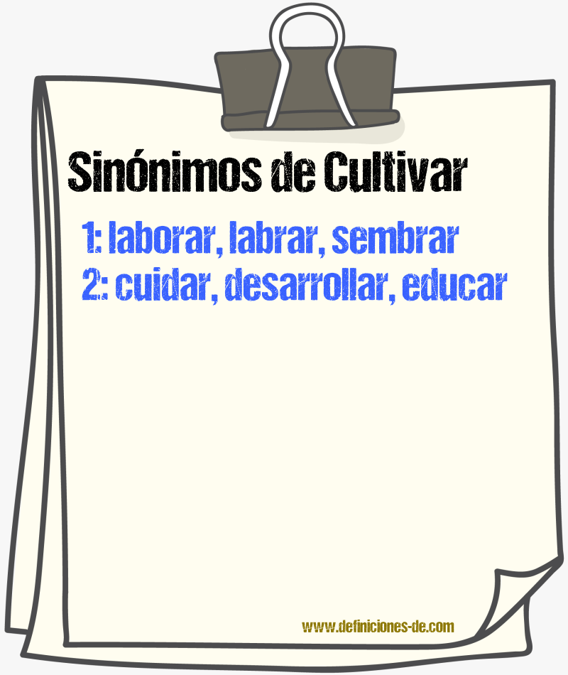 Alternativas para sembrar: Descubre sinónimos de cultivar y siembra de forma diversa