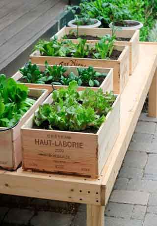 Caja huerto urbano: una solución práctica para cultivar tus propios alimentos en la ciudad