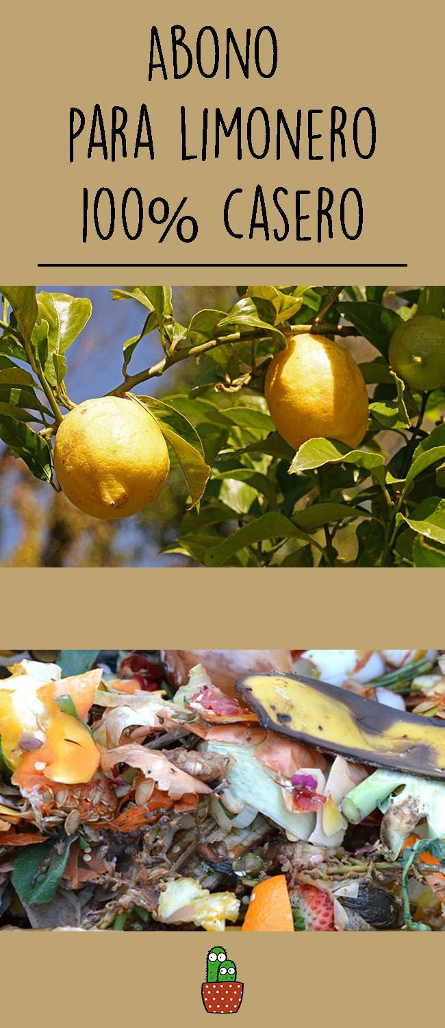 Cómo hacer abono casero para limonero en maceta: guía paso a paso