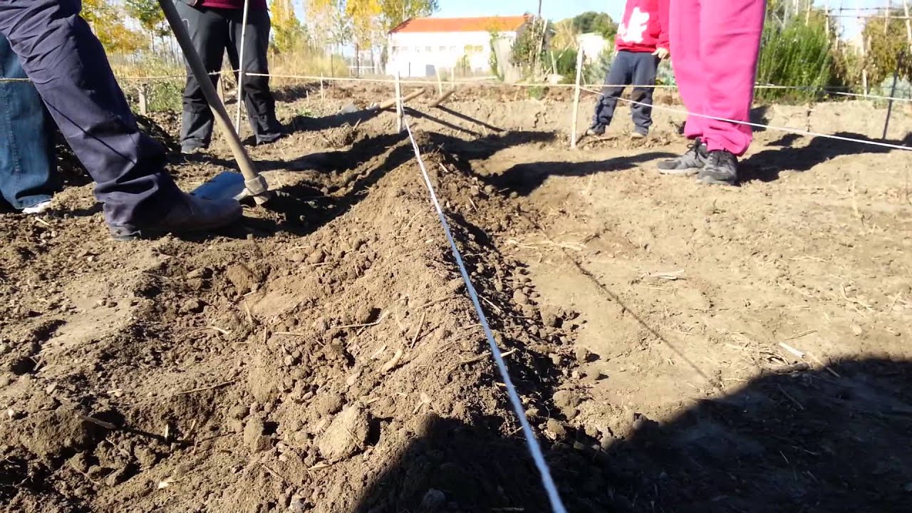 Cómo preparar un caballón de tierra para tus plantas: paso a paso