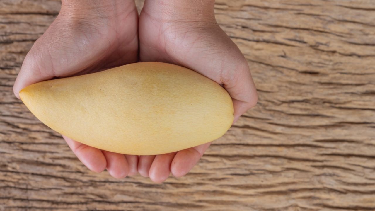 Cómo sembrar un hueso de mango y obtener tu propio árbol frutal