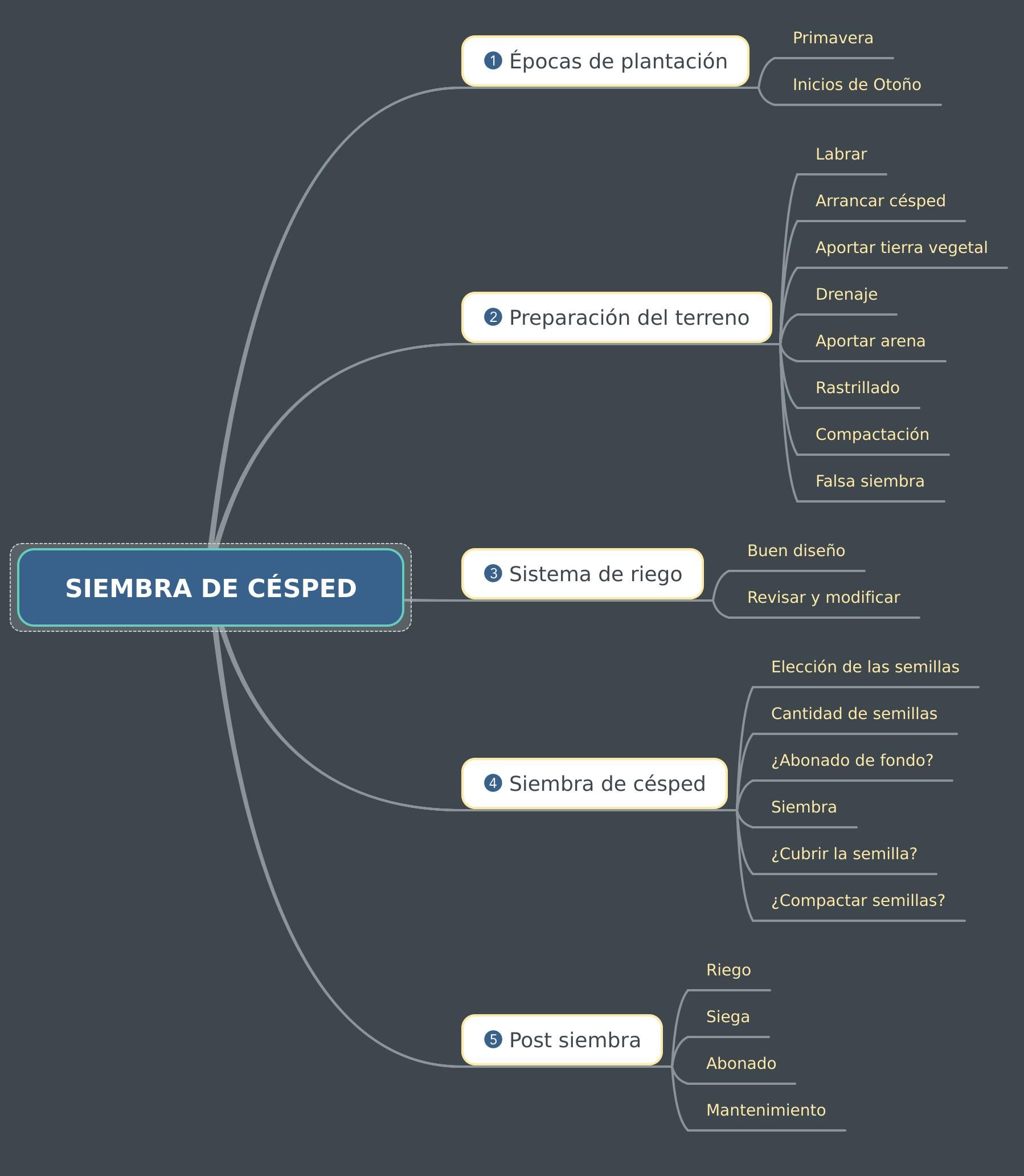 Consejos prácticos para sembrar césped sin enterrar y obtener resultados increíbles