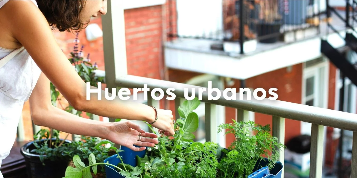 Convierte tu balcón en un oasis verde con un macetero huerto urbano