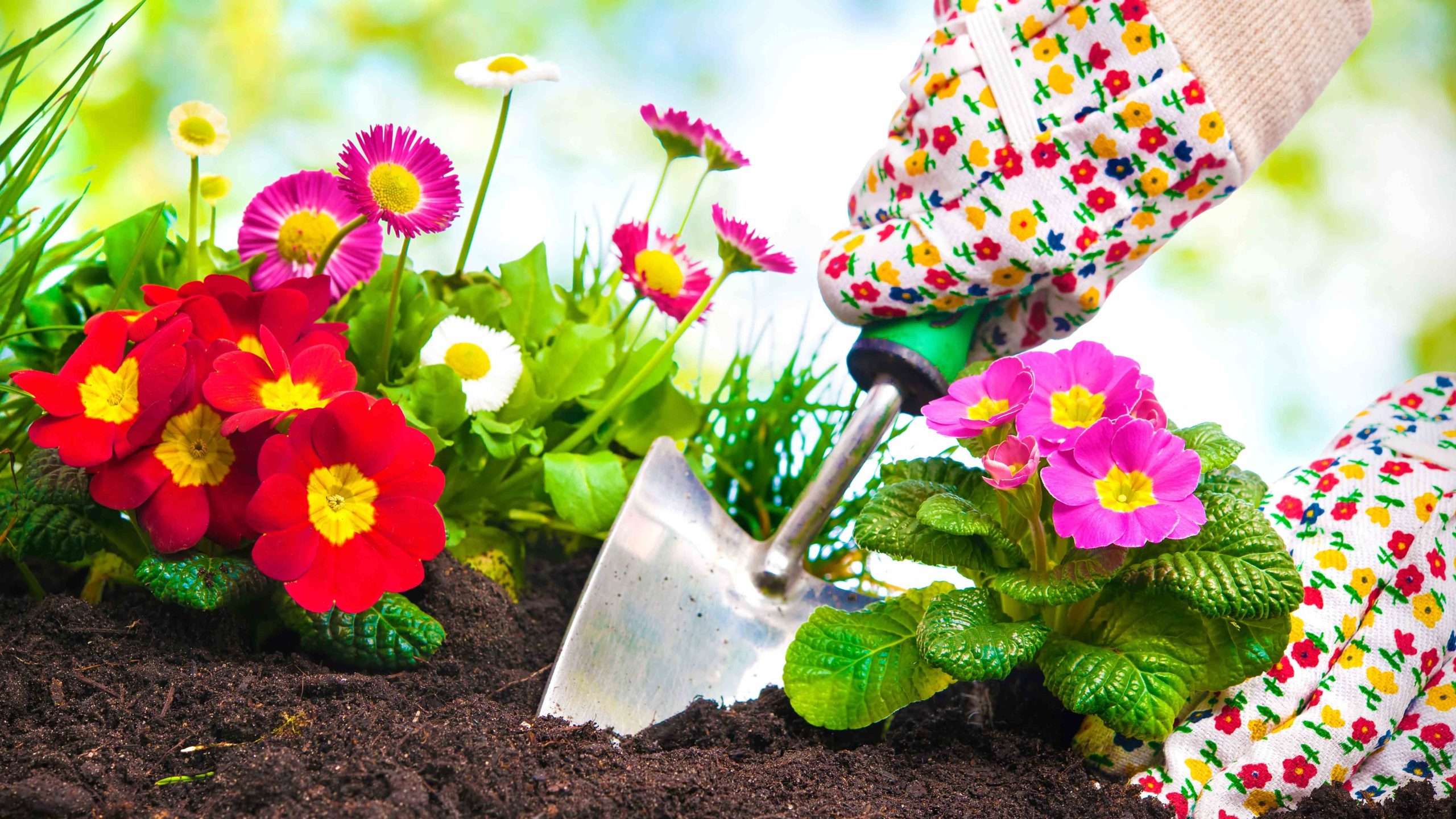 El arte de sembrar en marzo: consejos y secretos para un jardín floreciente