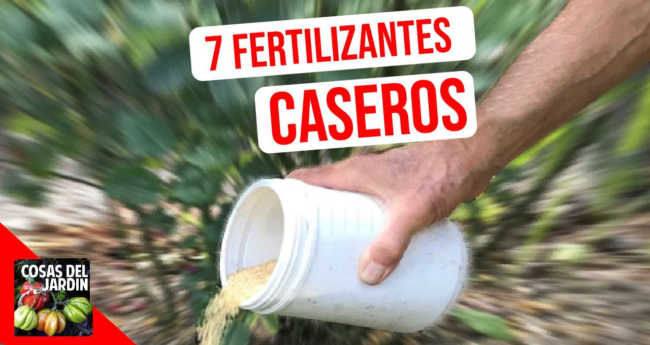 Fertilizante casero líquido: Guía para mantener tus plantas saludables