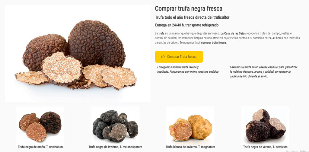 Guía completa: Cómo plantar trufas y disfrutar de su exquisito sabor