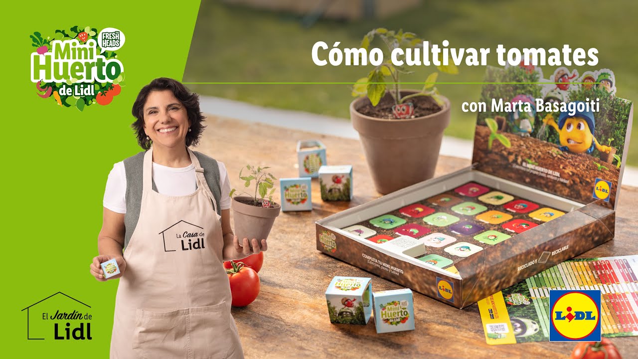 Guía completa: Cómo plantar y cultivar tu mini huerto de Lidl con éxito