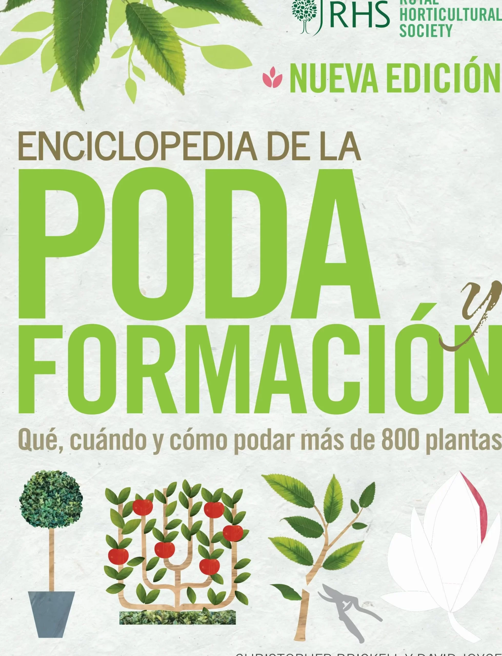 Guía completa: Cómo podar un árbol para un crecimiento saludable y estético