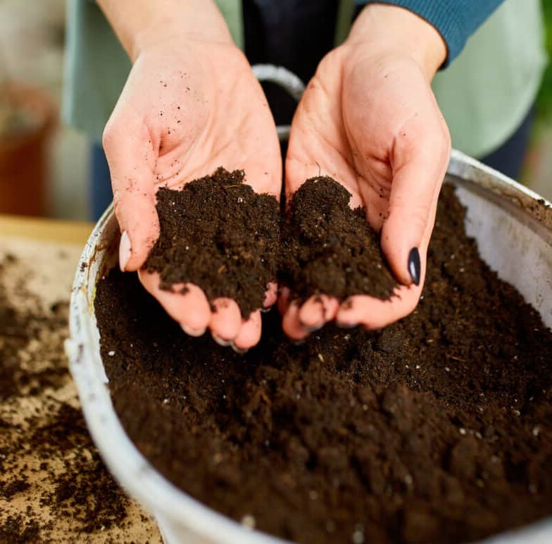 Guía completa: Cómo preparar la tierra para sembrar con éxito