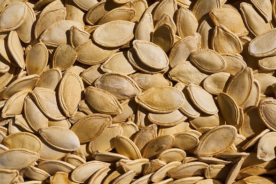 Guía completa: Cómo preparar semillas de calabaza para una siembra exitosa