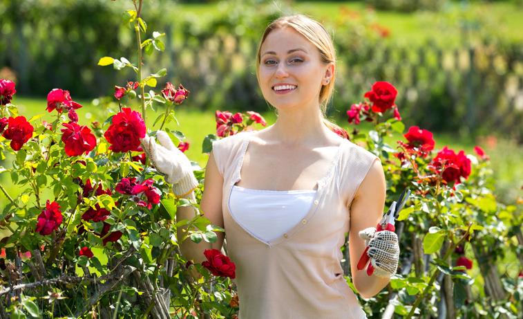 Guía completa: Cómo sembrar esquejes de rosal y lograr hermosas flores en tu jardín