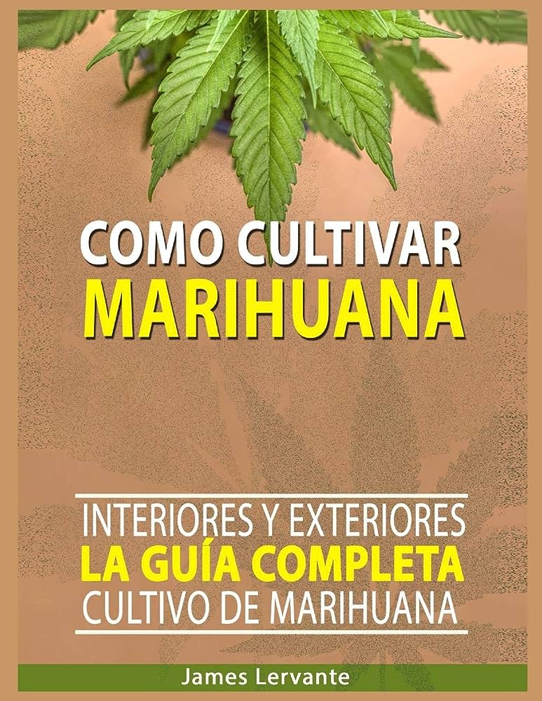 Guía completa: Cómo sembrar marihuana en casa de forma exitosa