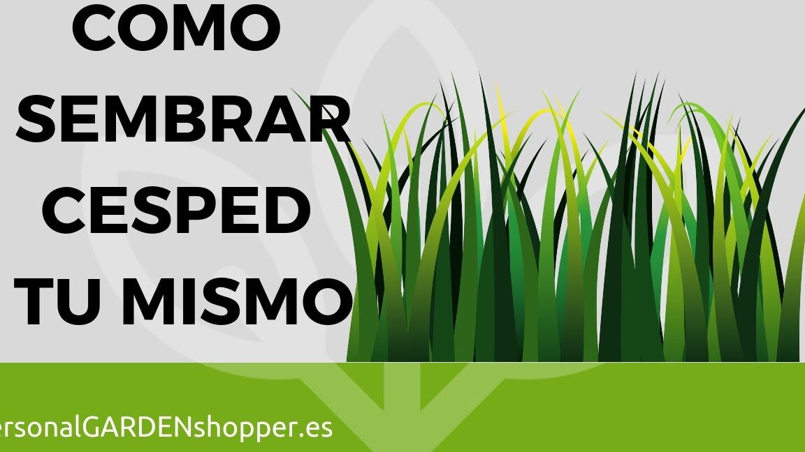 Guía completa: Cómo sembrar trigo paso a paso para obtener una cosecha exitosa