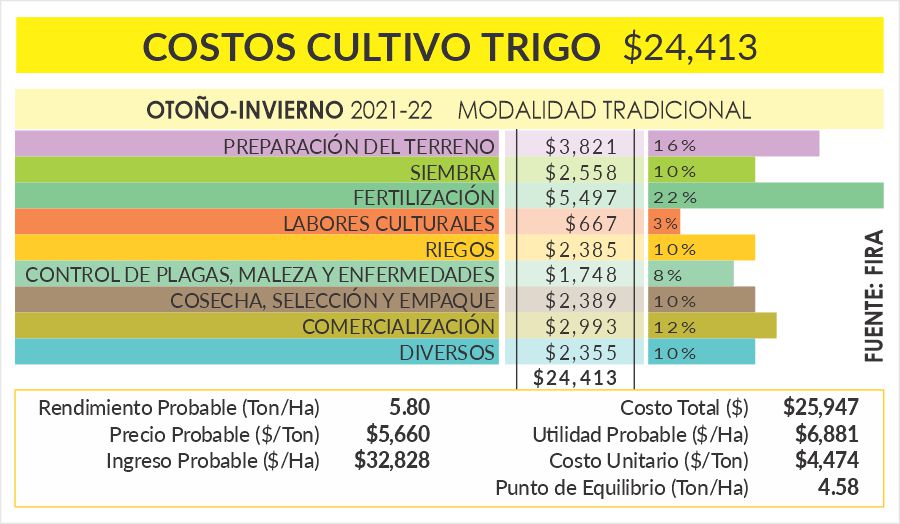 Guía completa: ¿Cuánto cuesta sembrar una hectárea de trigo en 2022?