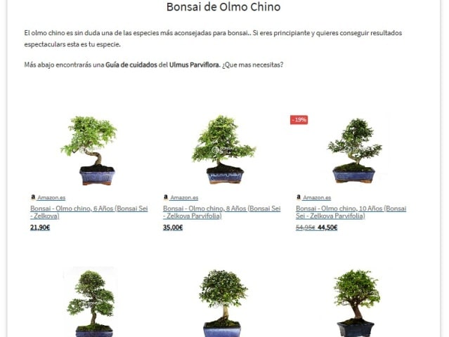 Guía completa de cómo plantar un bonsái: pasos, cuidados y consejos
