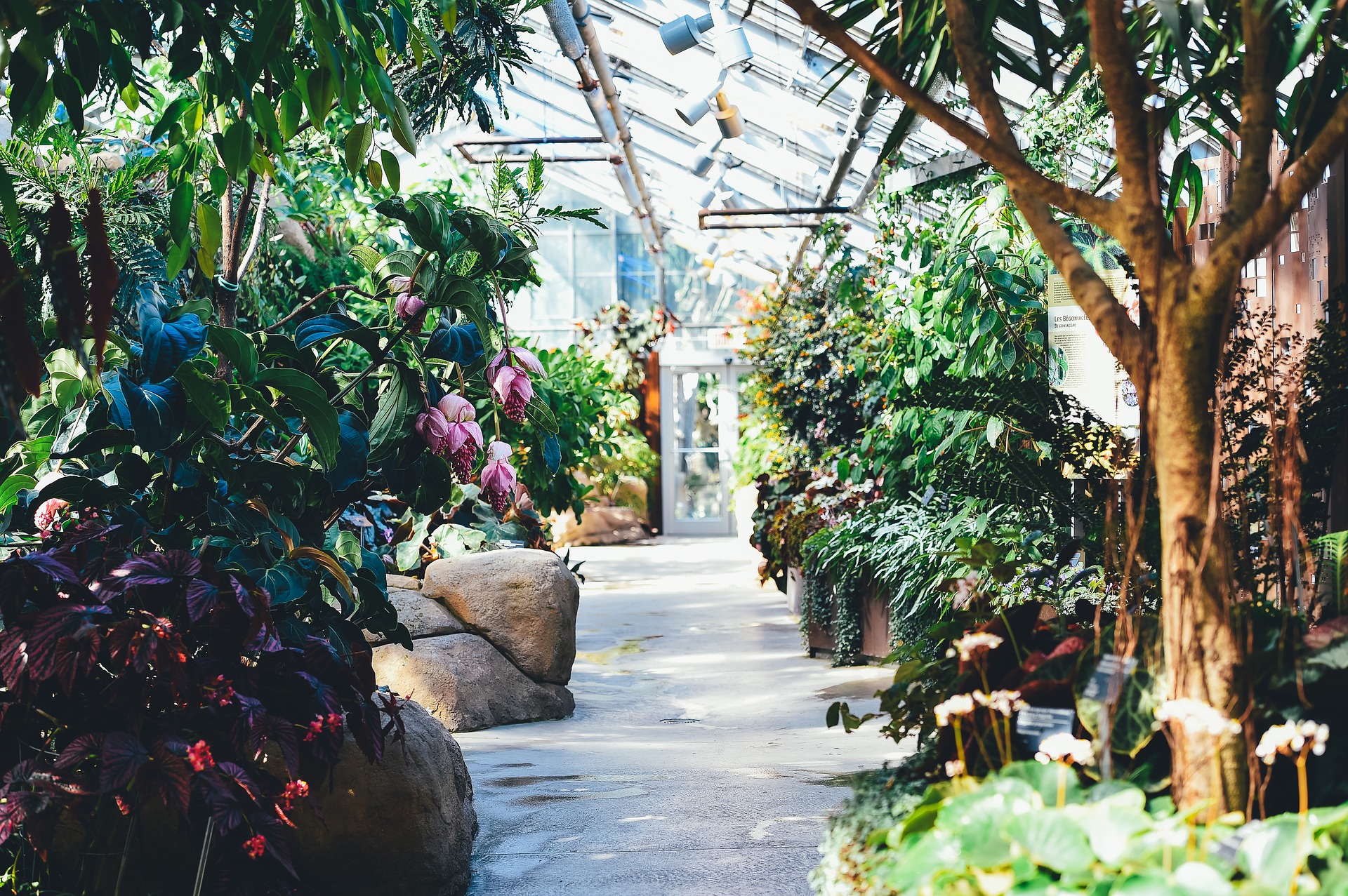 Guía completa: Qué se puede sembrar en febrero para tener un jardín floreciente