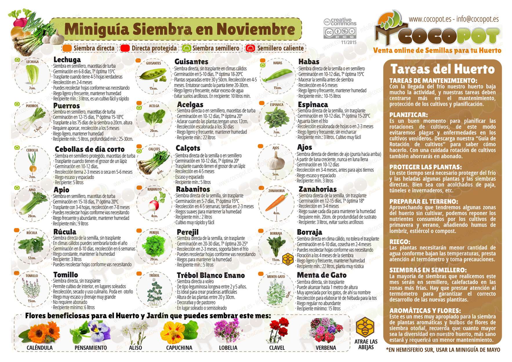 Guía completa: Qué sembrar en noviembre en España para un jardín próspero