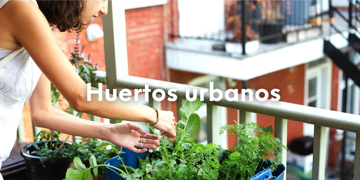 Guía completa sobre cómo hacer huertos urbanos: Tips y consejos para convertir tu ciudad en un oasis verde