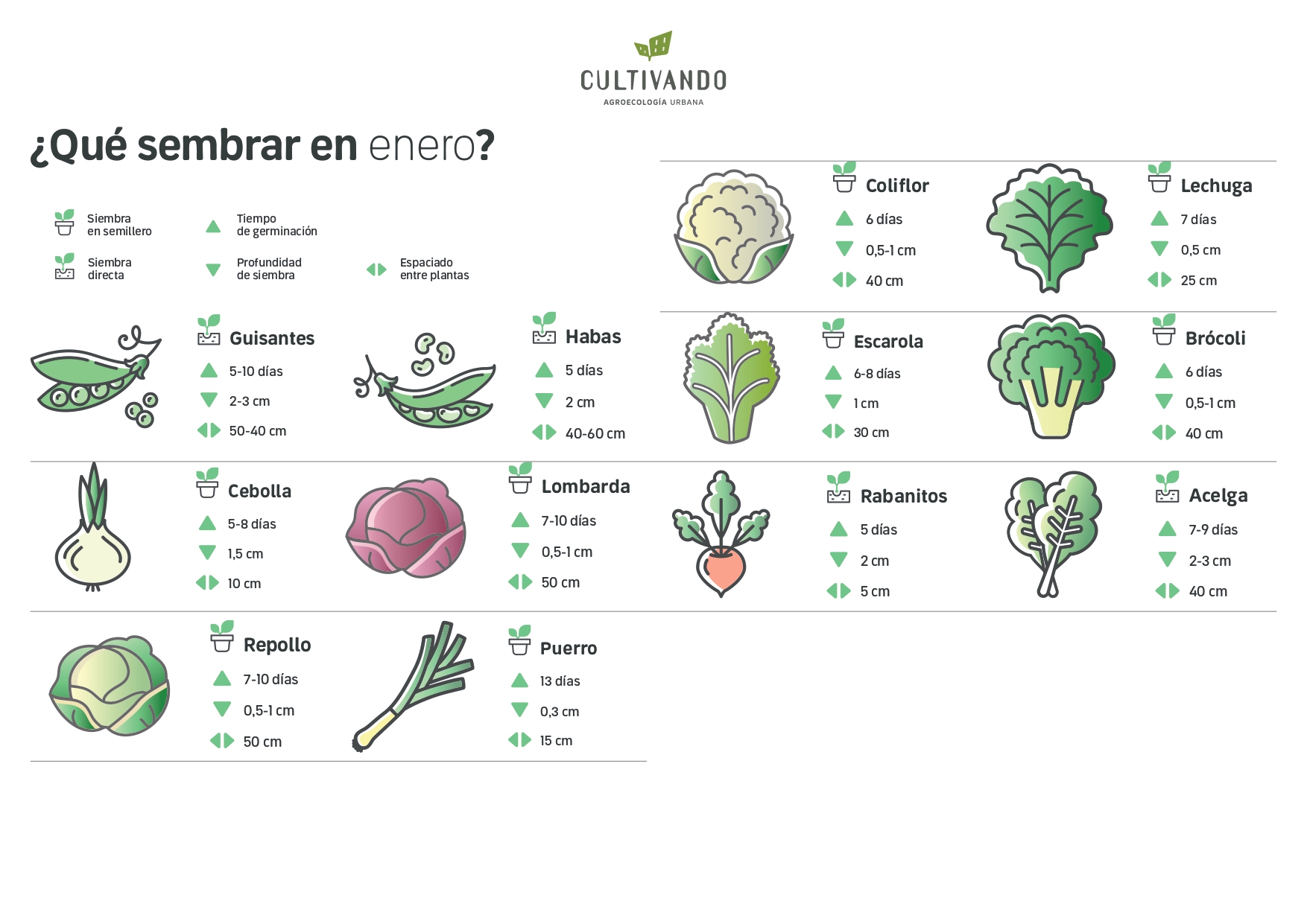 Guía de cultivos: ¿Qué sembrar en enero para una cosecha exitosa?