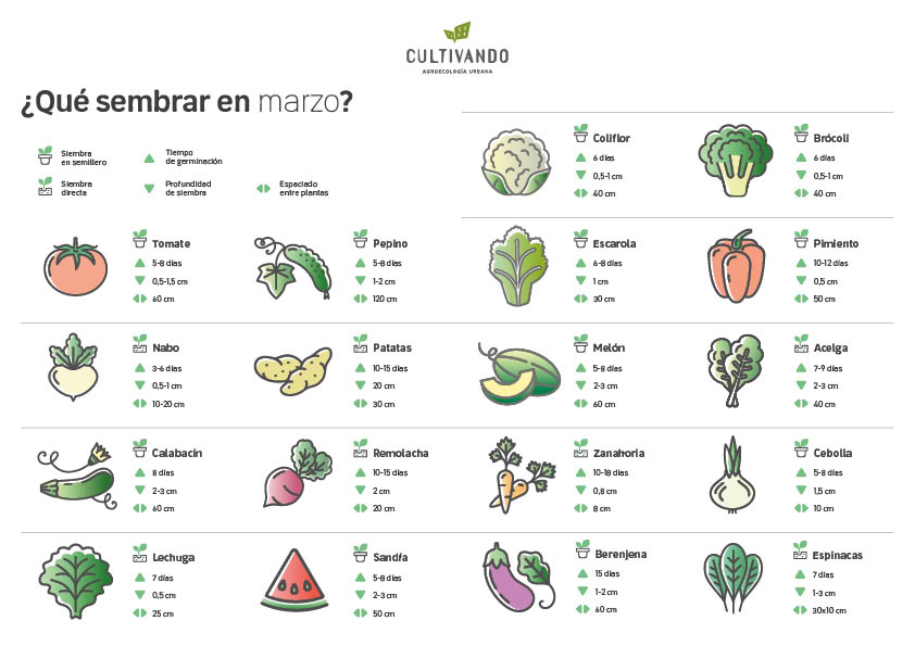 Guía de Siembra: ¿Qué Sembrar en Febrero y Marzo para una Cosecha Exitosa?