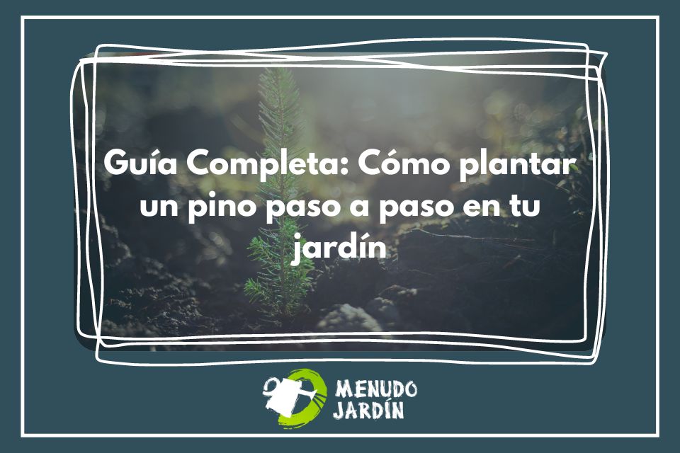 Guía paso a paso: Cómo plantar un pino en tu jardín