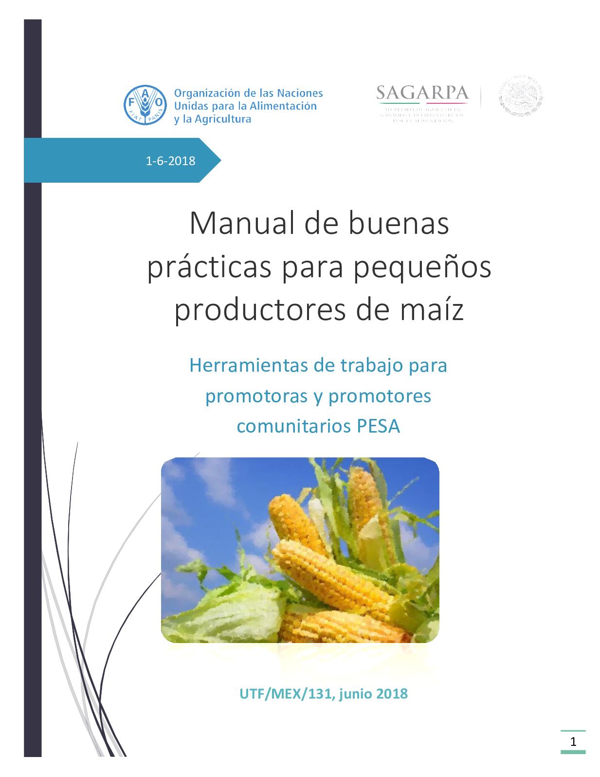Guía práctica sobre cómo sembrar el maíz: consejos y recomendaciones