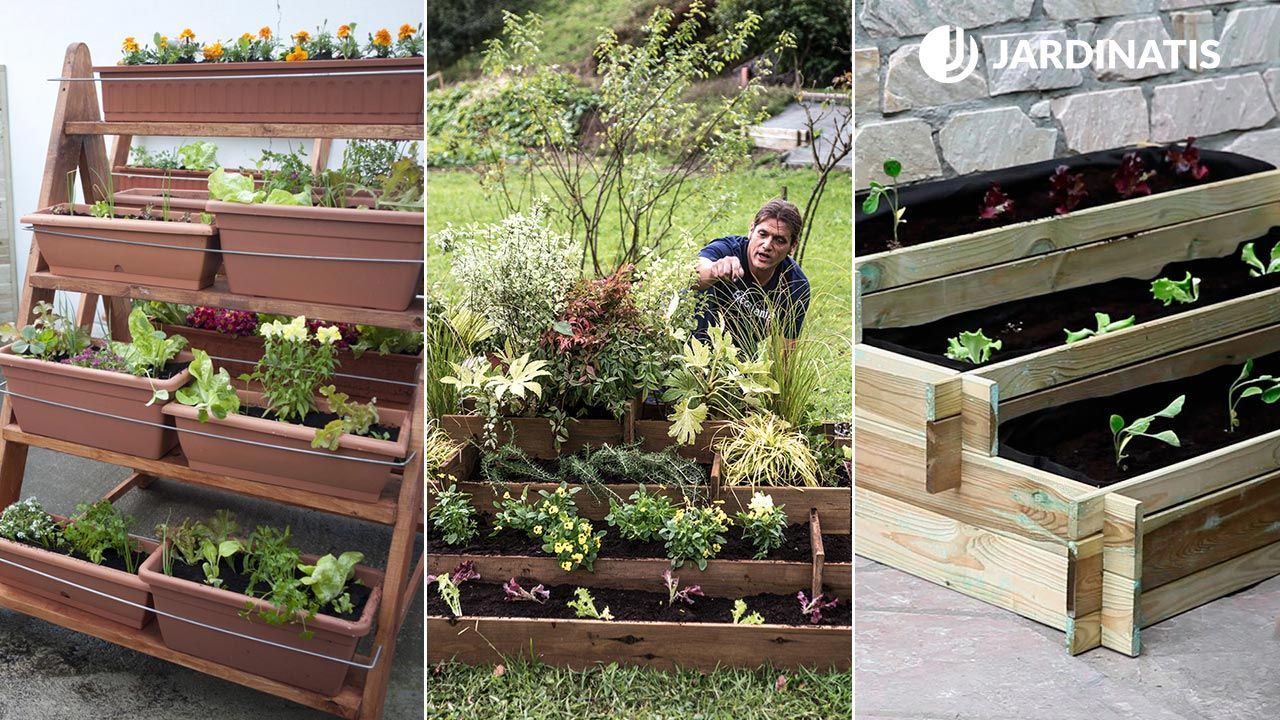 Huerto Urbano en Escalera: Una forma creativa de cultivar en espacios reducidos