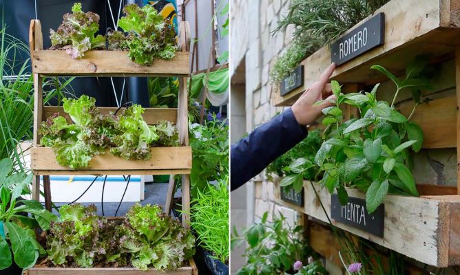 Huerto Urbano en la Pared: La Solución Perfecta para Espacios Pequeños