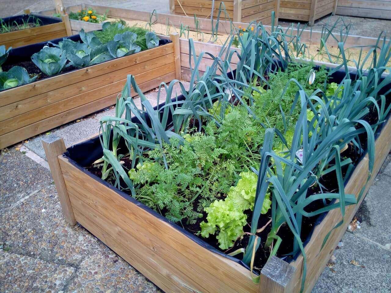 Ideas para crear un huerto urbano: ¡Aprende a cultivar tus propios alimentos en la ciudad!