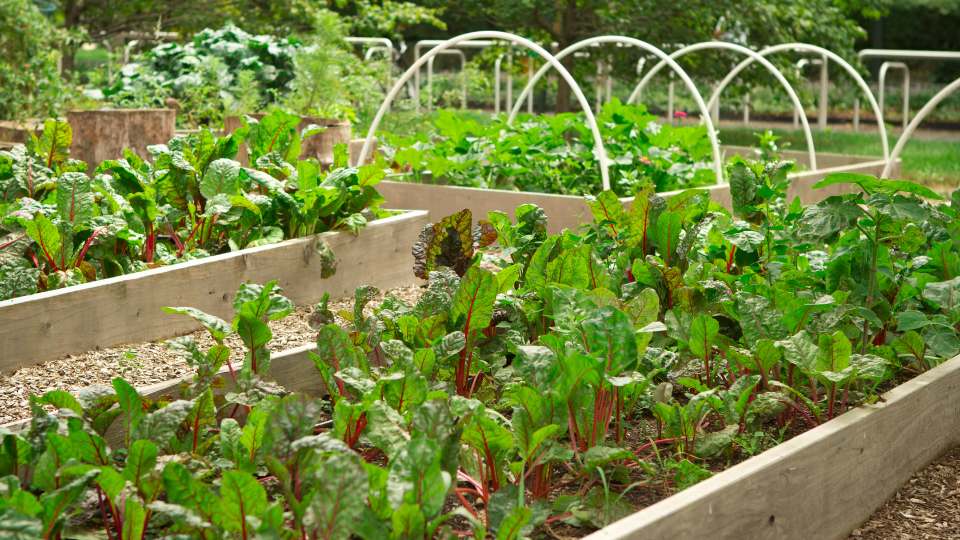 Jardineras para huerto urbano: Cómo crear tu propio espacio verde en la ciudad