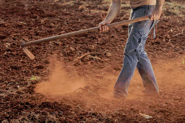 La azada: la herramienta esencial para hacer surcos en tu huerto