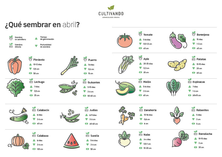 Qué sembrar en abril: Guía completa para aprovechar al máximo este mes de siembra