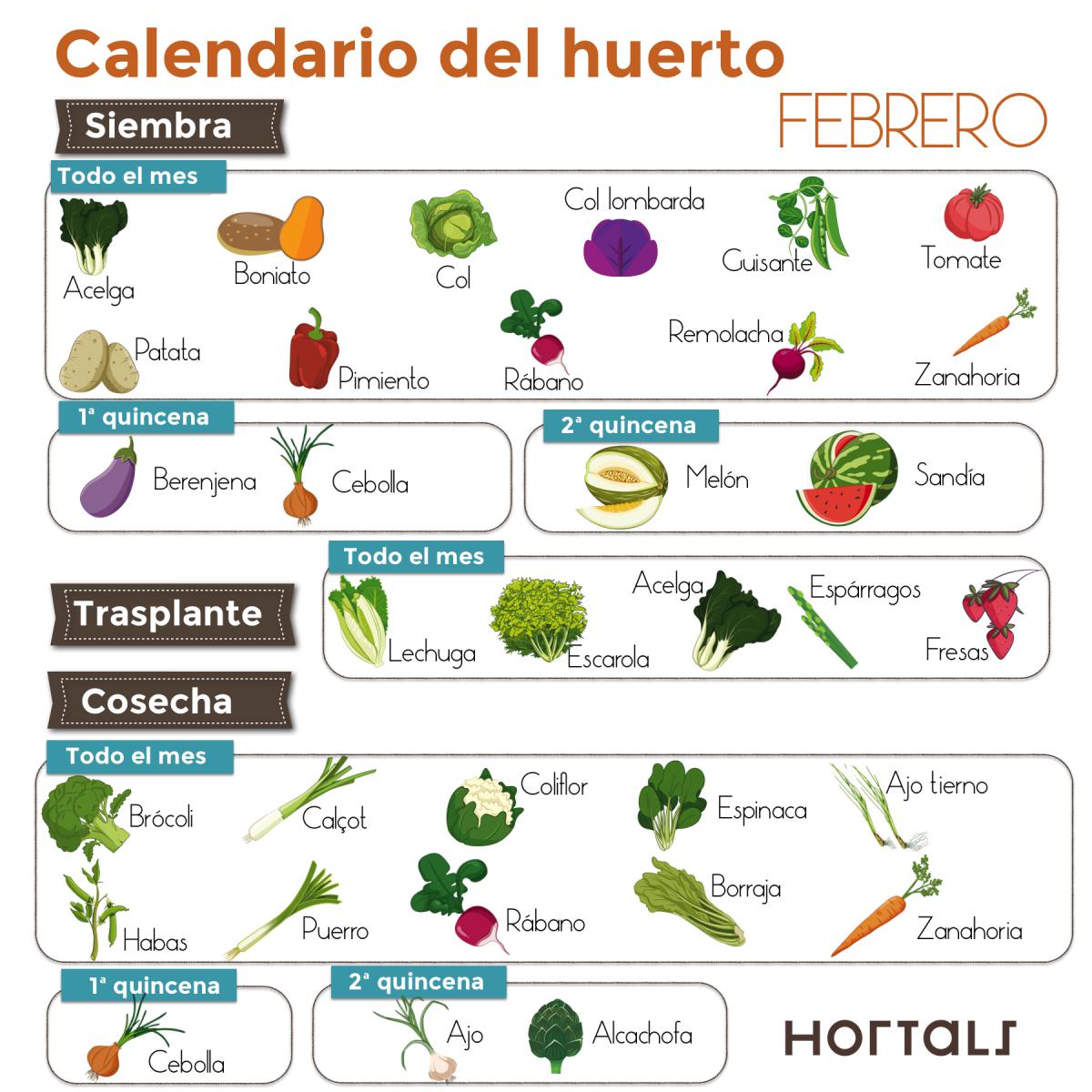 Qué sembrar en febrero en España: consejos para una cosecha exitosa