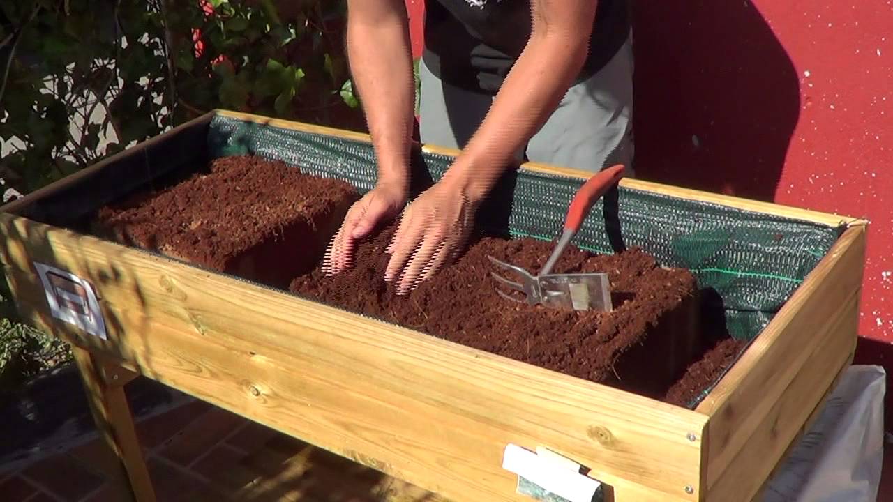 Tips para armar un huerto urbano con mesa de cultivo