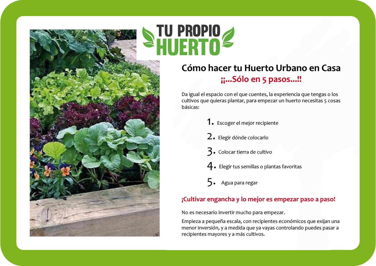 Todo lo que necesitas saber para plantar y cultivar rúcula en tu propio huerto