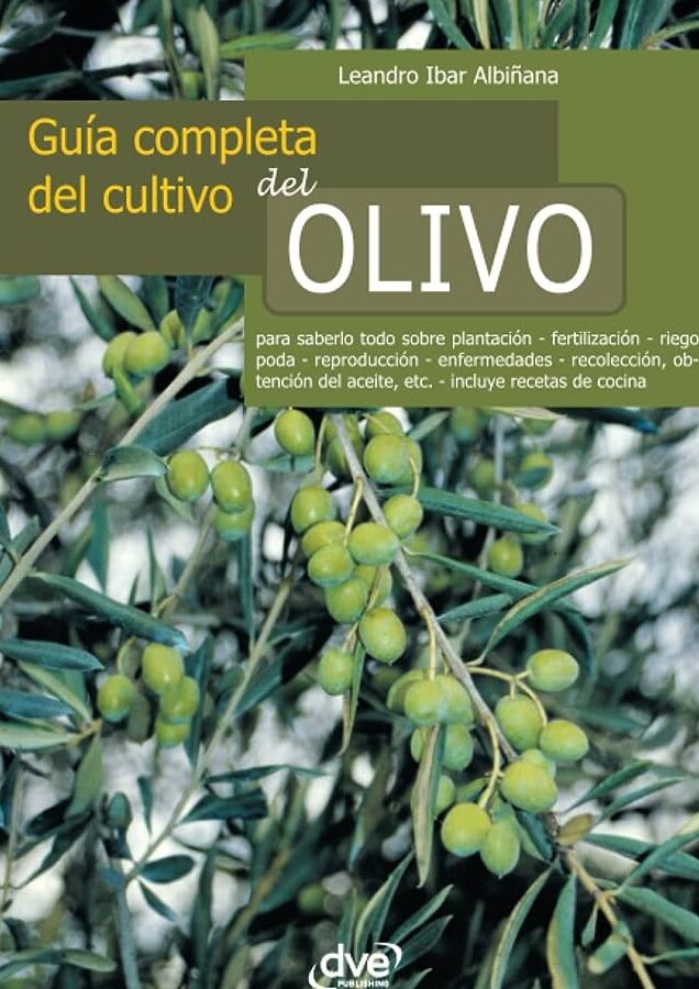 Todo lo que necesitas saber sobre cómo podar olivos: consejos prácticos y técnicas eficientes