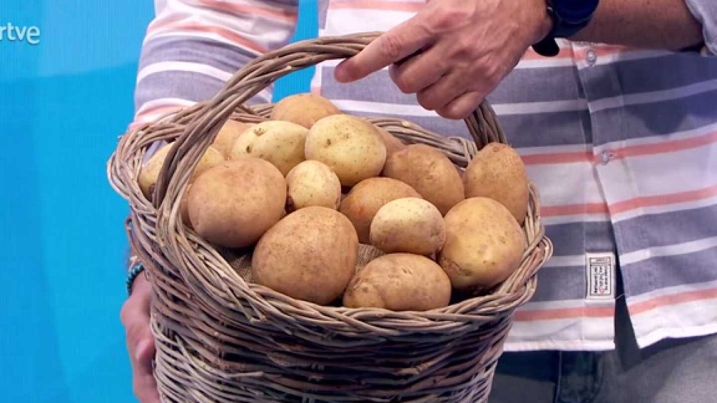 Todo lo que necesitas saber sobre las patatas para sembrar: consejos y técnicas infalibles